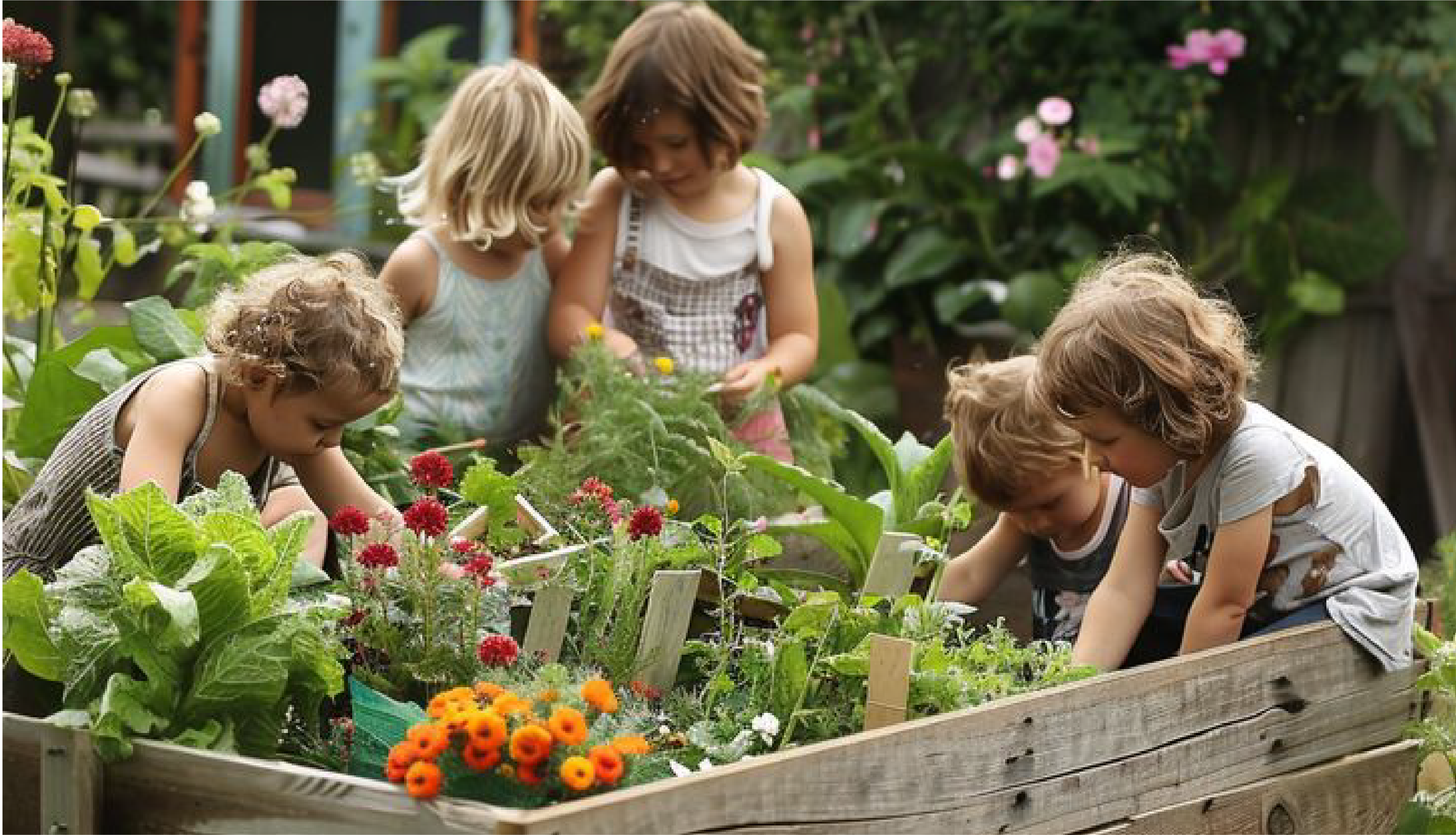 Vacature Werkgroep Educatie