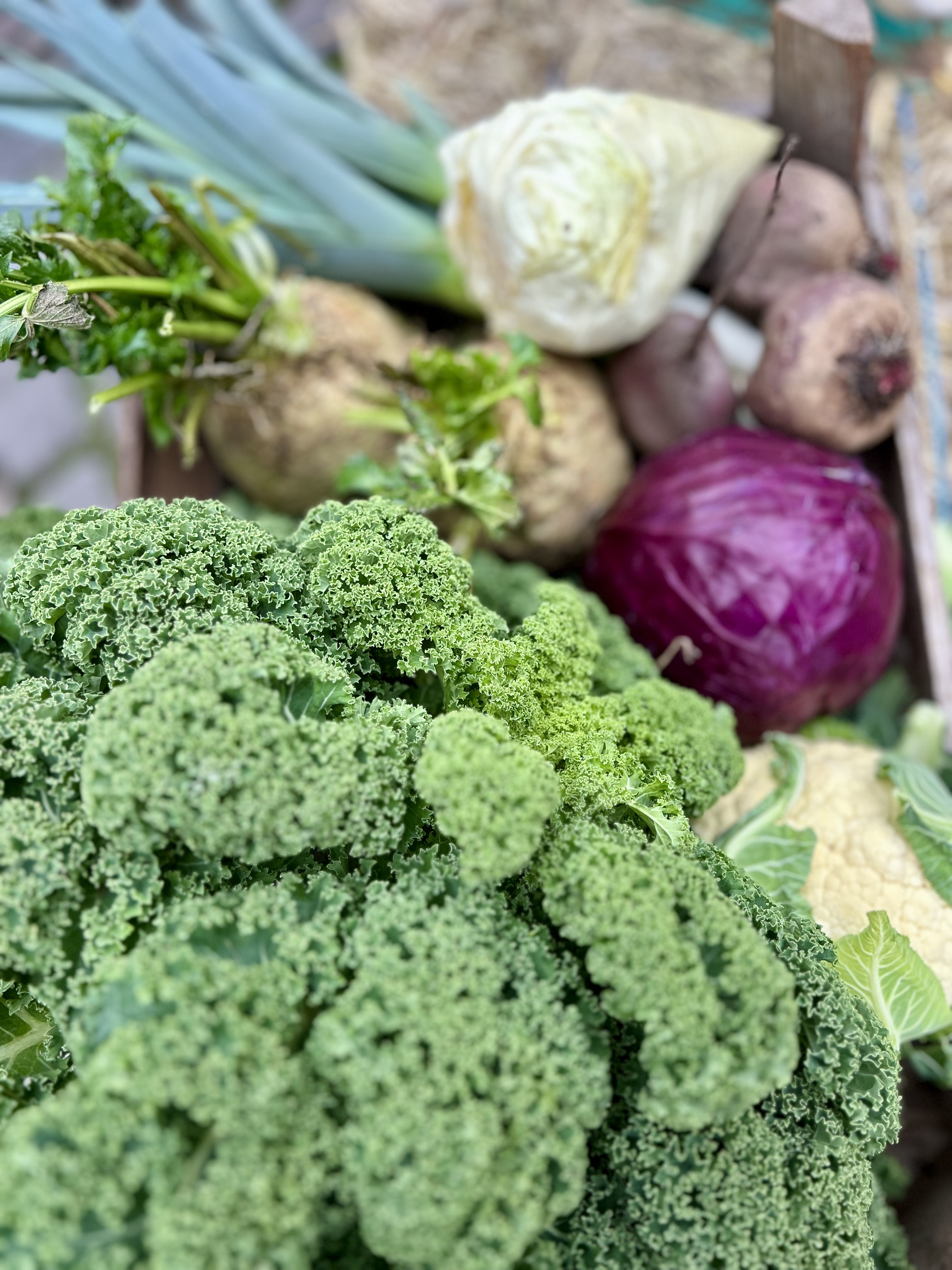 GEZOCHT: enthousiaste vrijwilligers voor onze voedselcoöperatie!